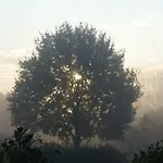 Emsland