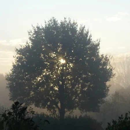 Emsland