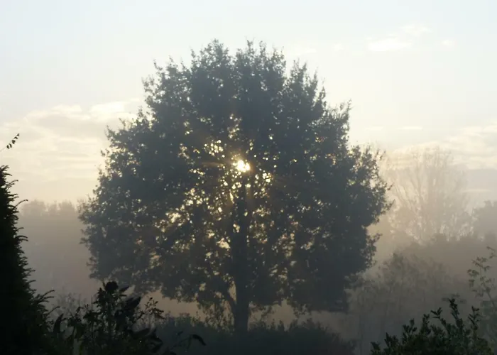 Emsland